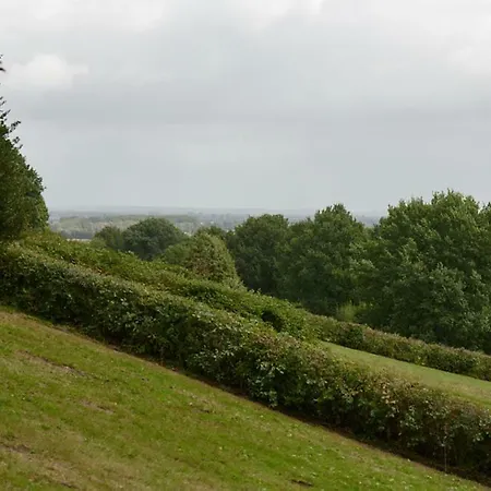 Bed In Appartement *