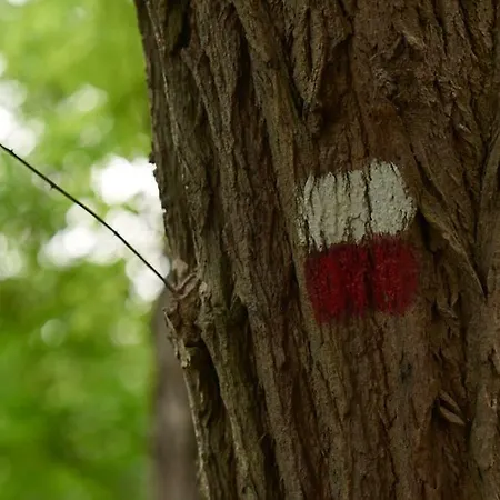 Bed In Appartement *